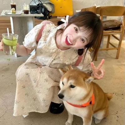 单身骑士